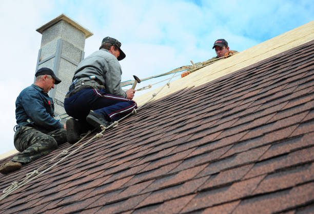 Best Flat Roof Repair Services  in Muncie, IN